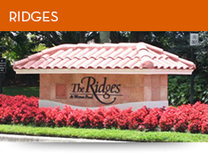 Ridges